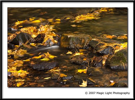 My first fall pics of the season-crw_1285.jpg