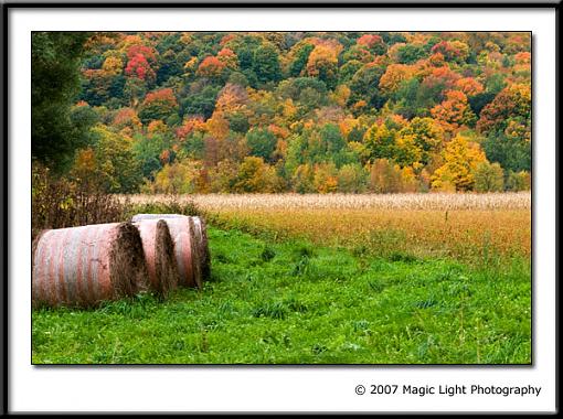 My first fall pics of the season-crw_1300.jpg