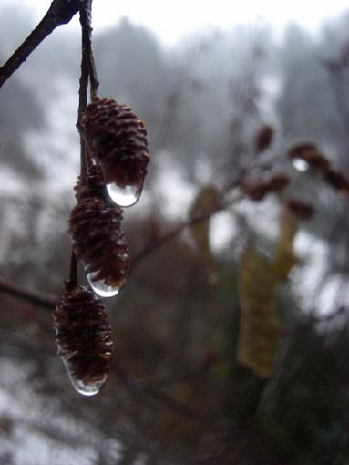 Some snow and waterfalls-water-drop.jpg