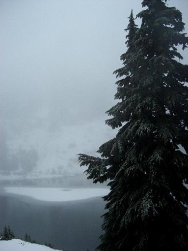 Some snow and waterfalls-treelake.jpg