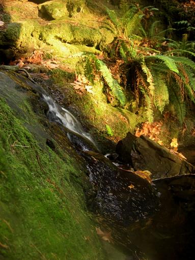 Sunset on a rocky beach-mossy-waterfall.jpg