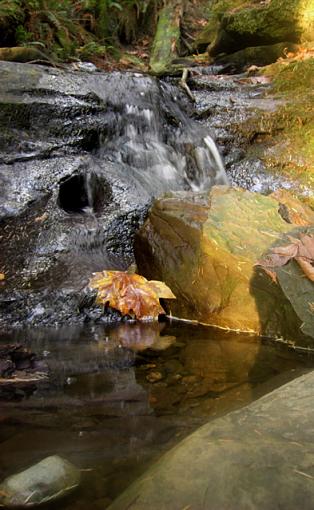 Sunset on a rocky beach-leafy-waterfall.jpg