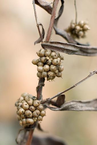 50mm f/1.4 Test Images-11-07-07-test-image-d.jpg