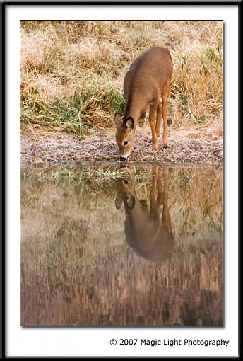 A cold drink to start the morning-crw_2641.jpg