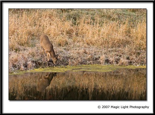 A cold drink to start the morning-crw_2655.jpg