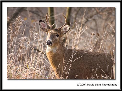 A cold drink to start the morning-crw_2665.jpg