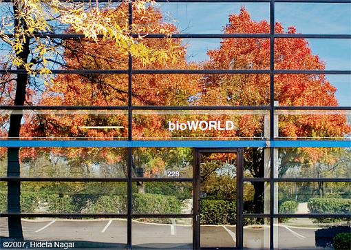 BioWorld - redux-bio-world-redux.jpg