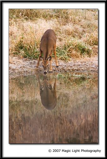 More of the same-crw_2643.jpg