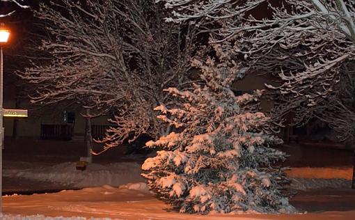 My try at Nighttime Snow-picture1.jpg