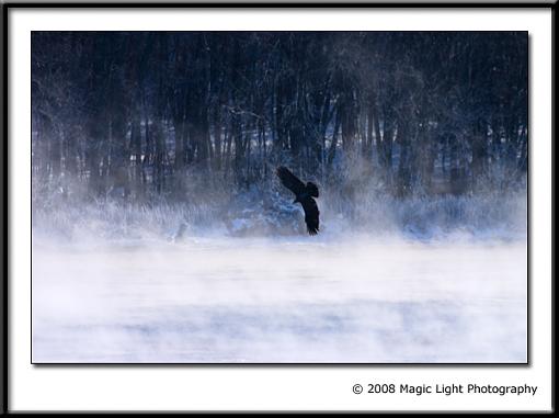 Misty morning fishing-crw_3597.jpg