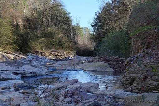 My Backyard-img_1365_hdr1.jpg