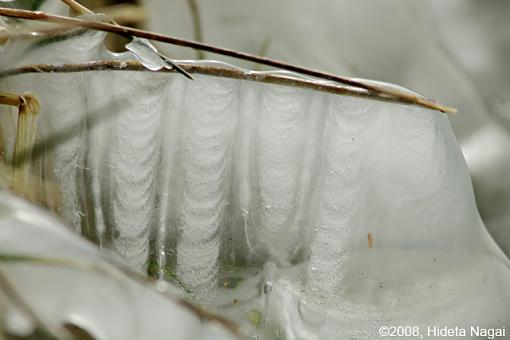 Strange Ice-strange-ice-2a.jpg