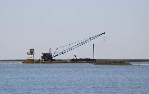 Rare crane shot on the water-rare-craine-shot-water.jpg