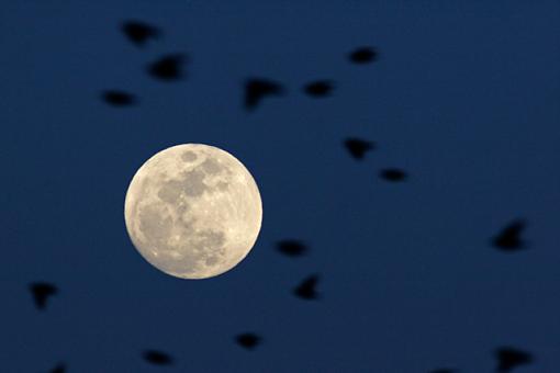 Moon over Ohio-moon-1.jpg