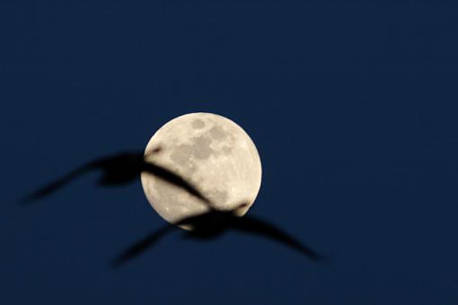 Moon over Ohio-moon-2.jpg