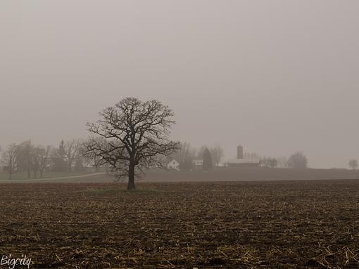 Yellow Field #2, highjack this thread-farm-fog.jpg