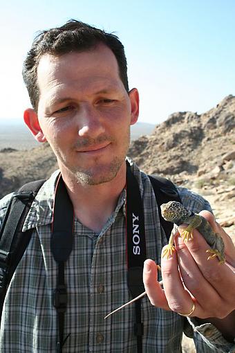 Collared Lizard-bandcoliz2-sm.jpg