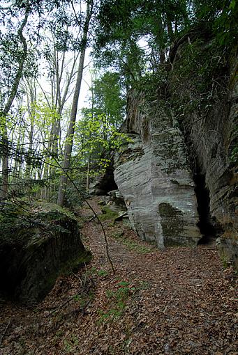 A Walk in the Woods-dsc_4204-2-640.jpg