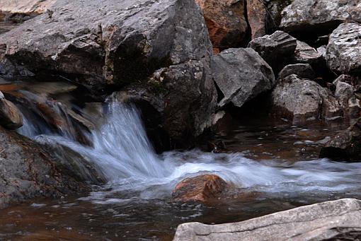 A Walk in the Woods-dsc_3630-2-640.jpg