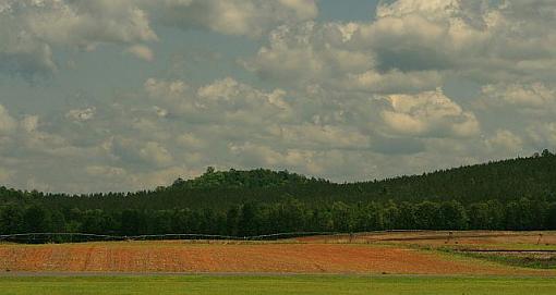 Yellow Field #2, highjack this thread-tally-farmr.jpg