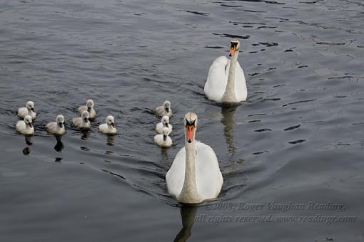 Last week on the Solent-_mg_5002-640.jpg