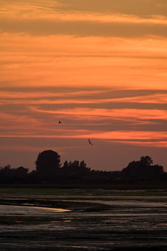 Pagham sunsets-_a3p7788.jpg