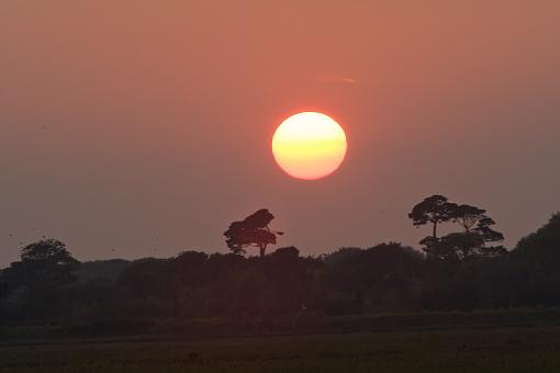 Pagham sunsets-_a3p8297.jpg