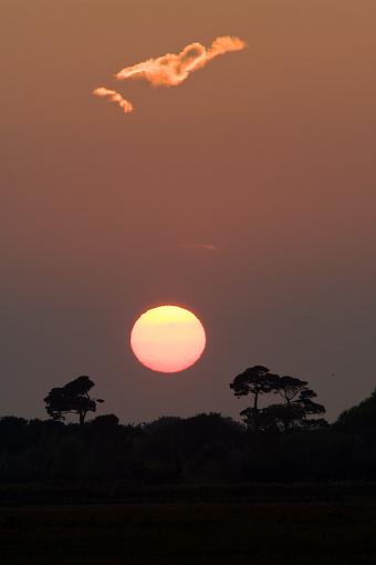 Pagham sunsets-_a3p8303.jpg