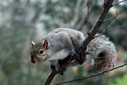 Yum, birdseed...-dsc00694_edited-7.jpg