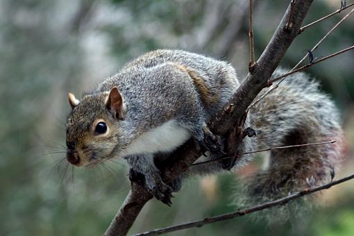 Yum, birdseed...-dsc00694_edited-8.jpg