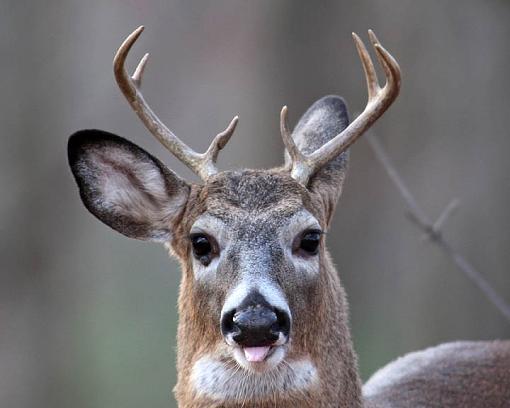 A Couple Bucks-1698w.jpg