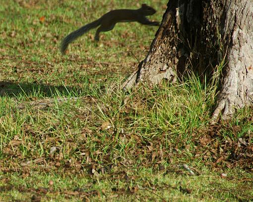 He's burying his nuts-dsc_9792-copy.jpg