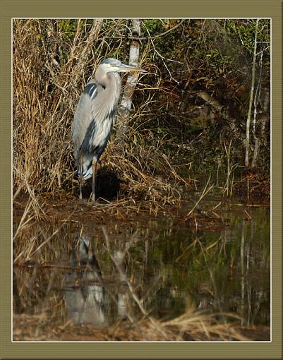 Another one from this afternoon, Jeff-dsc_0014-copy.jpg-800-framed.jpg