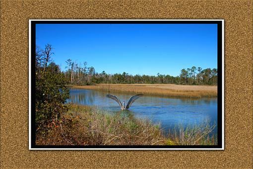 Senic mars and pelican-copy-copy-800-marsh.jpg