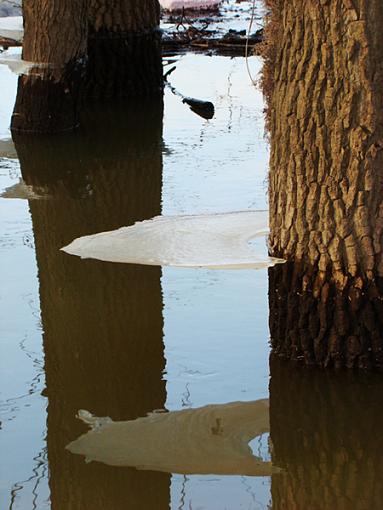 Floating ice-dsc05228s.jpg