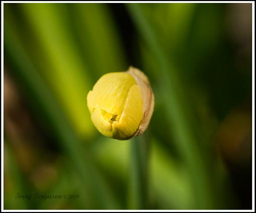 Spring?  Not today...-dsc09793_edited-1-copy.jpg