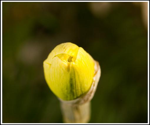 Spring?  Not today...-dsc09814_edited-1.jpg