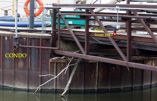 Swallow condo...-rainyday_docknest_1-copy.jpg