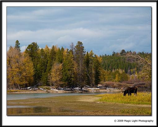 Fall in the Tetons-img_0733.jpg