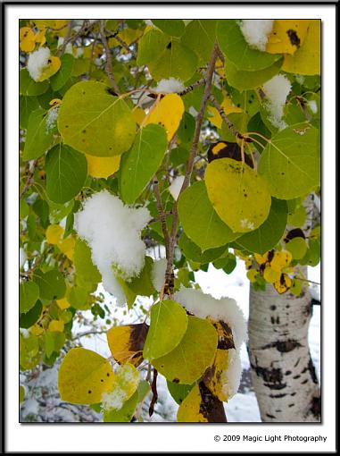 Fall in the Tetons-img_0686.jpg