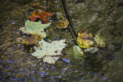 Starved Rock State Park-f0859328.jpg