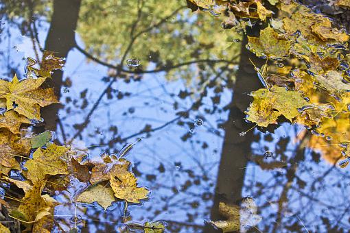 Starved Rock State Park-f1507456.jpg