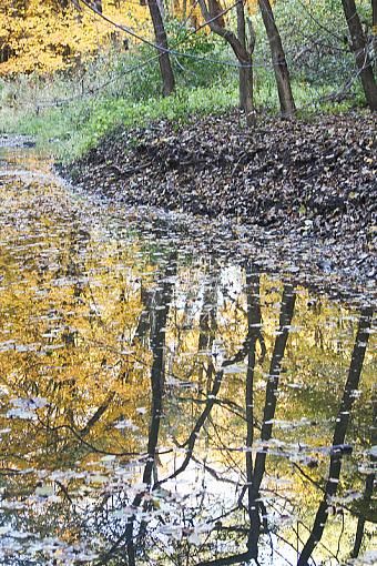 Starved Rock State Park-f1597376.jpg