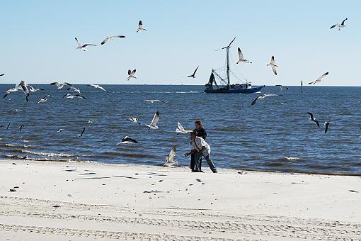 Feeding the birds-dsc_3848.jpg