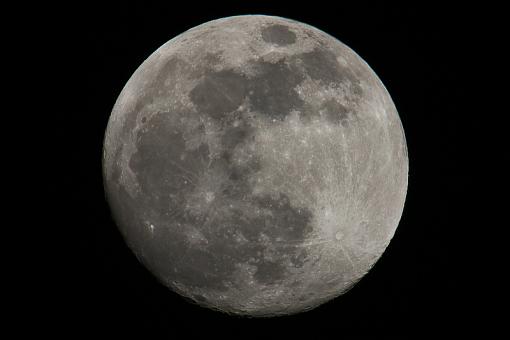 The moon is popular tonight-img_9929.jpg