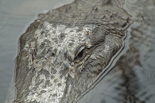 Eye to eye-_dsc7093.jpg