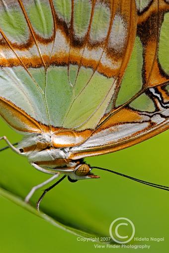 Extension Tubes - Full Disclosure-extsample-300mm-68mm.jpg