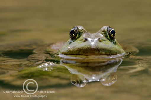 Extension Tubes - Full Disclosure-extsample-500mm-.jpg