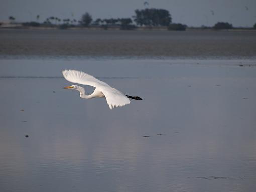 Reflections and BIF-_3295295.jpg