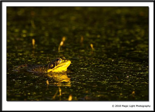 From the kayak-_mg_6239.jpg